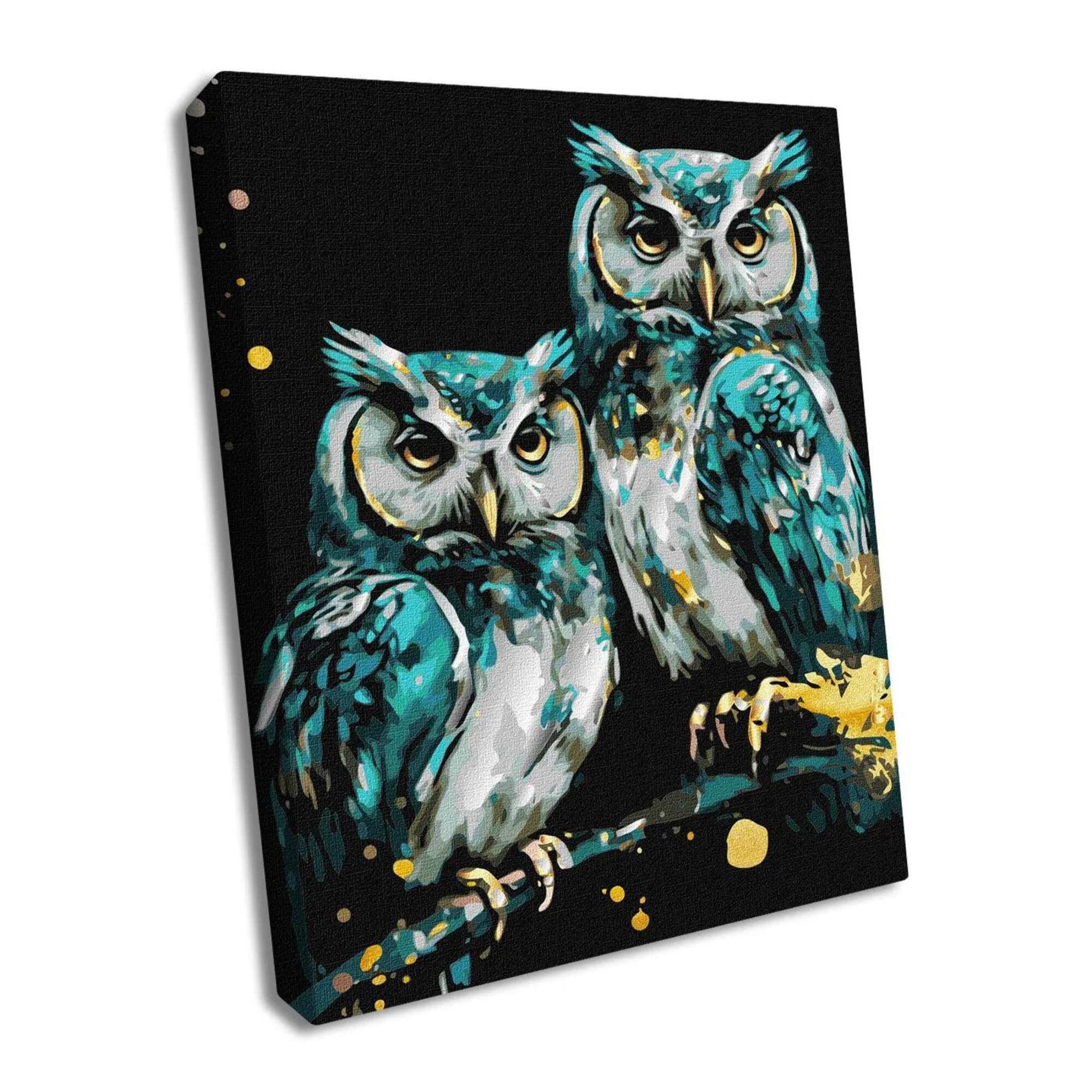 Ideyka Wise Owls Painting by Numbers Kit